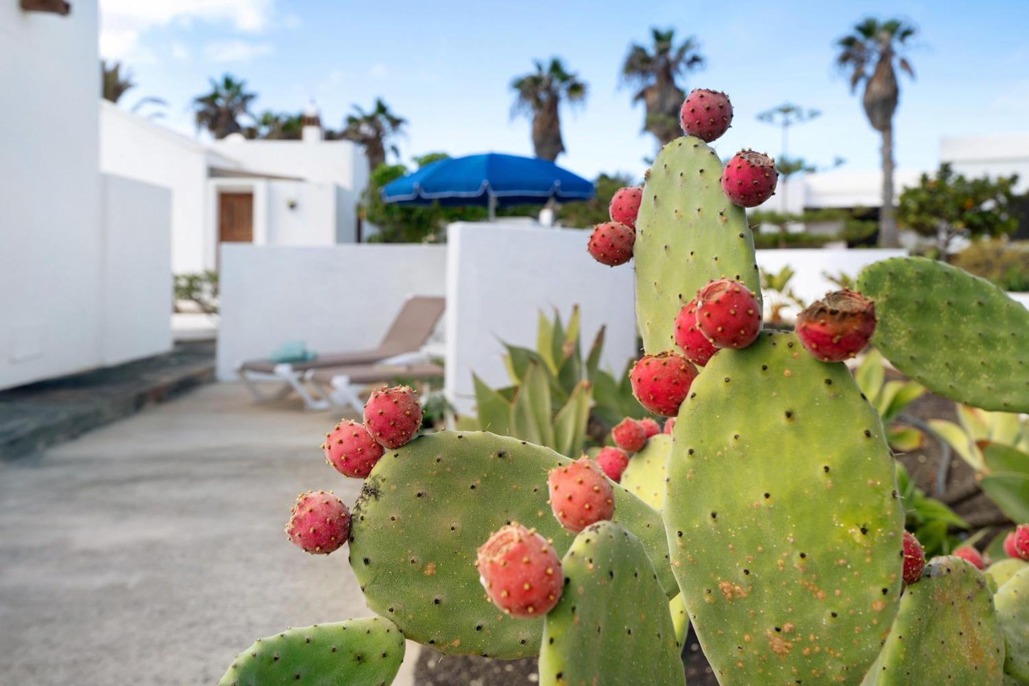 Casa Aloe Villa Haria Exterior photo